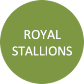 Royal Stallions